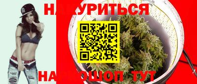 сатива Бузулук